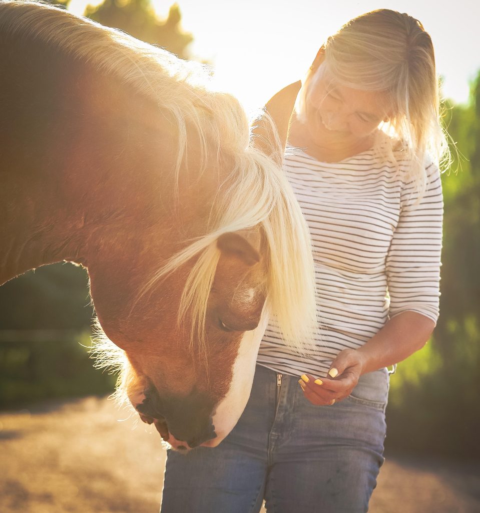 Begeleider in contact met een paard in het zonlicht tijdens een sessie binnen De MEL Methode.