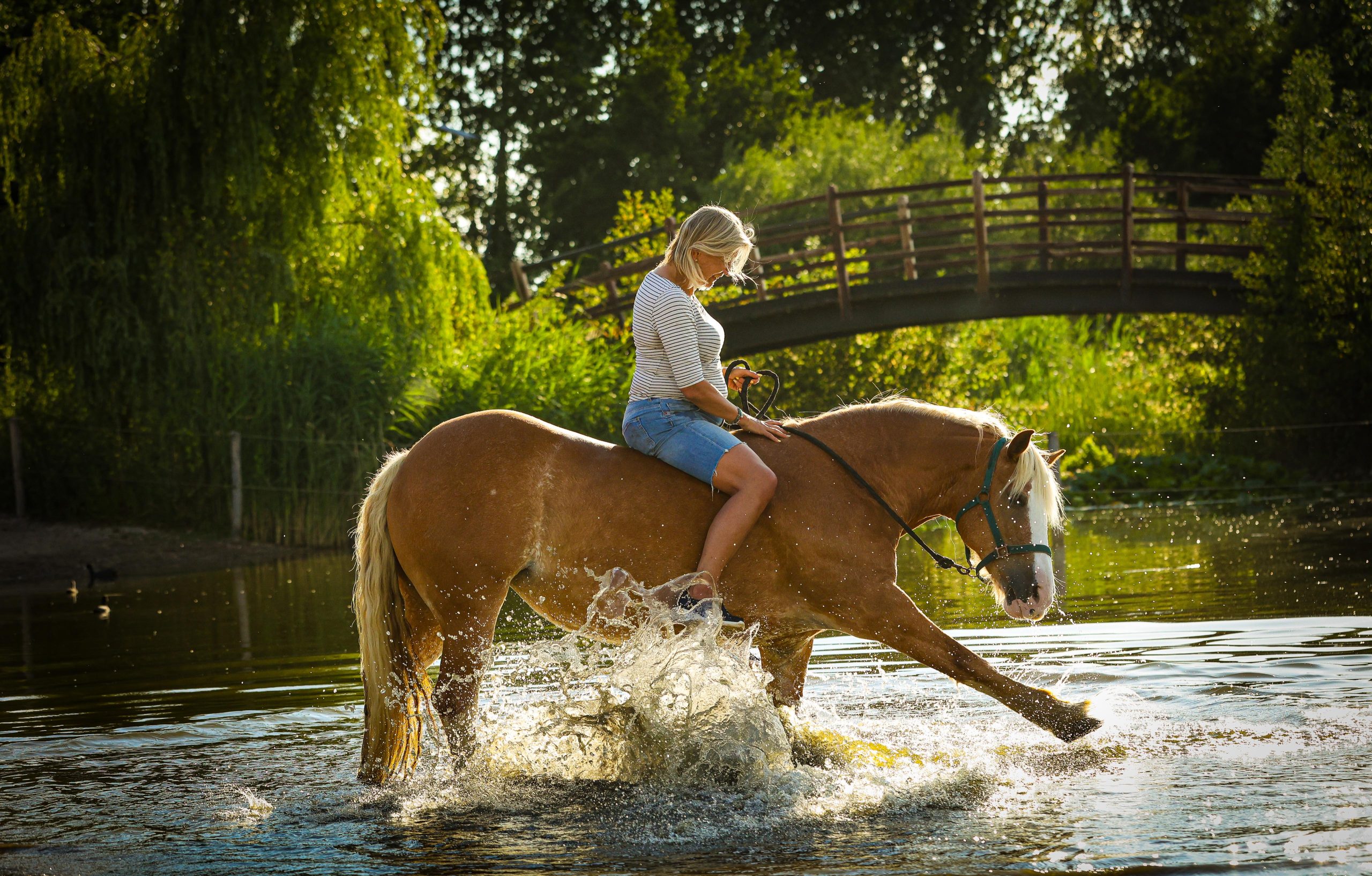 Paard en begeleider in het water tijdens een sessie binnen De MEL Methode.