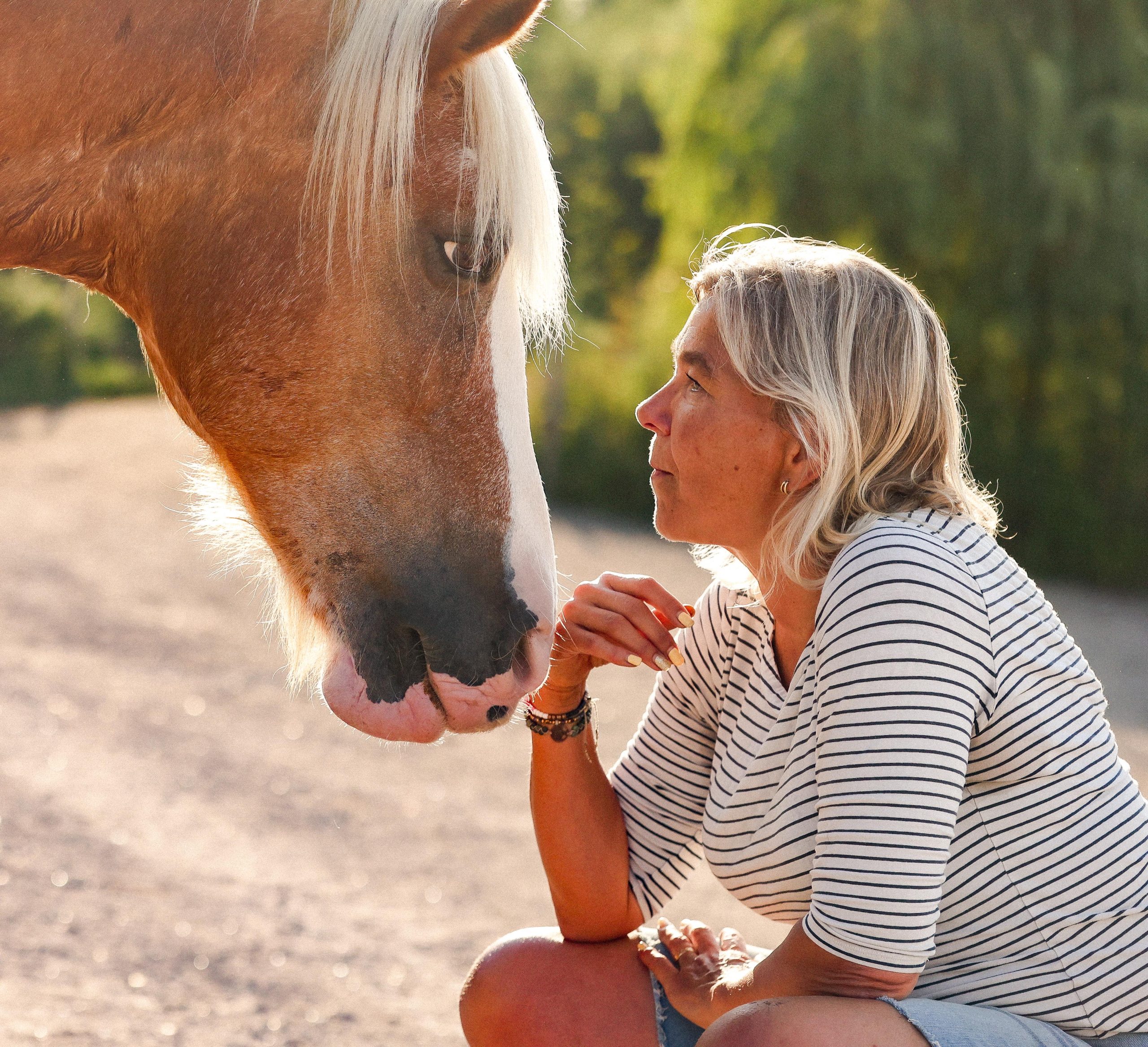 Melanie van De MEL Methode zit in stilte tegenover een paard tijdens een begeleidingsmoment.