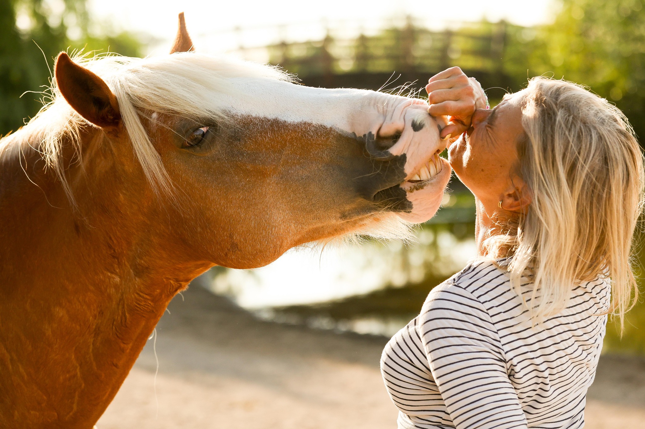 Melanie van De MEL Methode in speels en direct contact met een paard.