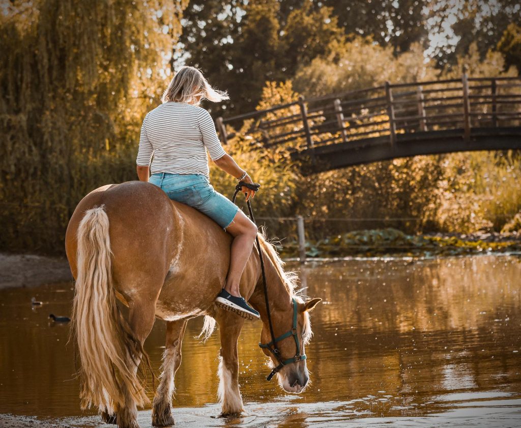 Melanie van De MEL Methode zit op een paard in het water.