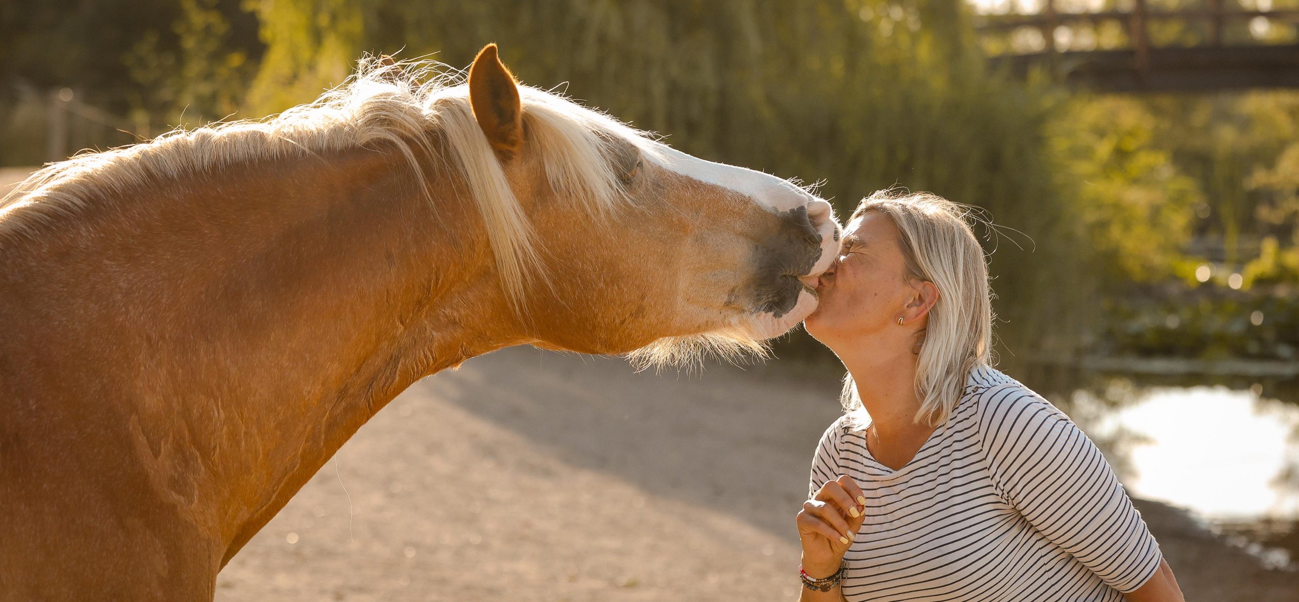 Melanie van De MEL Methode maakt non-verbaal contact met een paard in een natuurlijke omgeving.